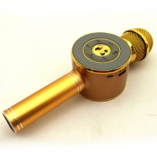 Беспроводной микрофон караоке блютуз WSTER WS-668 Bluetooth динамик USB Золотой (IM 45966)