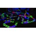 Гоночная трасса Магик Трек Glow Tracks 3,2м из ABS пластика 220 деталей машинка с LED подсветкой Magic Tracks (9001)