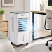 Напольный охладитель DKNS DH2025-01A 10л/3800w