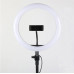 Светодиодная профессиональная кольцевая лампа LED SOFT RING LIGHT FL10 D 26 см Ring (Ring26-AV)
