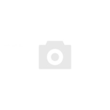 Ялинка лита 