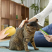 Щетка массажная для ухода за шерстью животных 4 в 1 ПАРОВАЯ Pet comb(AND924-AV)