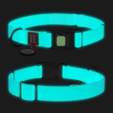 Нашийник для собак S водостійкий світлонакоплювальний WAUDOG Waterproof 2744 з QR паспортом 15 мм 25-35 см блакитний (RZN-23100740)