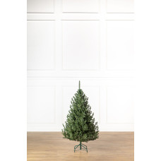 Ялинка лита 