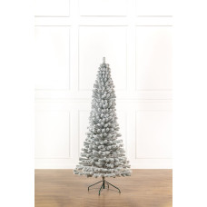 Ялинка лита Ялинка лита