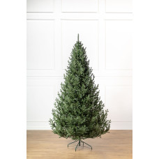 Ялинка лита 