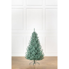 Ялинка лита 