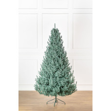 Ялинка лита 