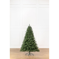 Ялинка лита Ялинка лита