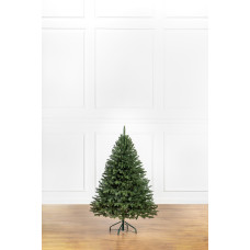 Ялинка лита Ялинка лита