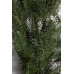 Штучна гірлянда Хвоя 2 м зелена, новорічна гірлянда лита реалістична Преміум KOS-HVO12 (LG-KOS-HVO12) Штучна гірлянда Хвоя 2 м зелена, новорічна гірлянда лита реалістична Преміум KOS-HVO12 (LG-KOS-HVO12)