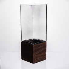 Ваза для квітів квадратна скляна 10×10×30 (см) декоративна HP-19-160-4 (LG-HP-19-160-4) Ваза для квітів квадратна скляна 10×10×30 (см) декоративна HP-19-160-4 (LG-HP-19-160-4)