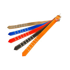 Ошейник капроновый Alan 40 x 650мм одинарный Ошейник капроновый Alan 40 x 650мм одинарный